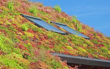 Camel Green living roof systems