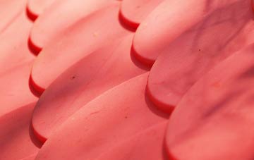 Camel Green plastic roof costs