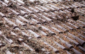 Camel Green roof cleaning companies