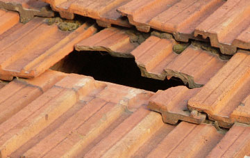 roof repair Camel Green, Dorset