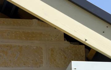 soffit repair Camel Green