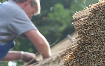 professional Camel Green thatchers