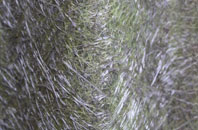 Camel Green fibreglass roof work