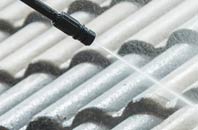 rated Camel Green roof cleaning companies