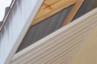 rated Camel Green soffit repair companies